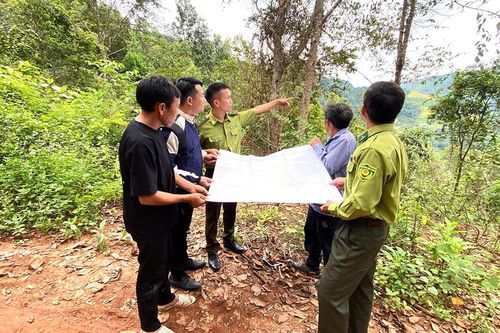 Cộng đồng giữ rừng ở Mường Nhé