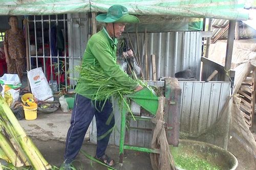 Nông dân có thêm thu nhập từ mô hình nuôi dê thương phẩm