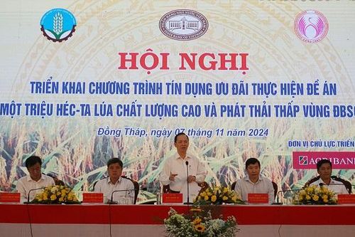 Giảm ít nhất 1%/năm so với lãi suất cho vay thông thường cho các chủ thể tham gia Đề án 1 triệu hecta lúa chất lượng cao, phát thải thấp