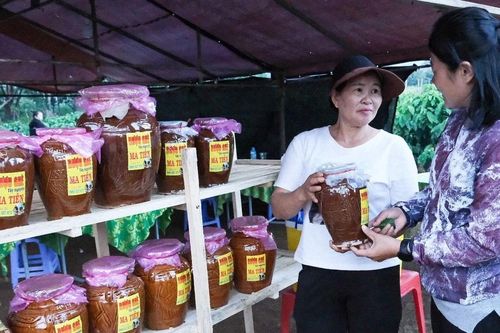 Tuần lễ Hoa Dã quỳ-Núi lửa Chư Đang Ya: 'Của ngon vật lạ' chờ du khách