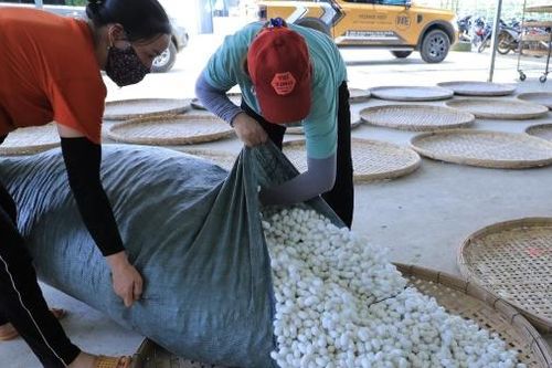 Những bước tiến trong phát triển kinh tế - xã hội vùng đồng bào DTTS