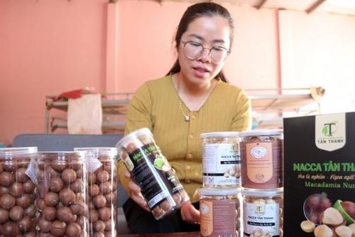 Từ những hạt mắc ca