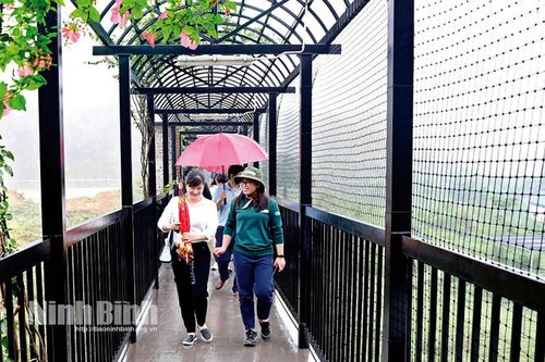 Thúc đẩy khởi nghiệp sáng tạo trong ngành du lịch