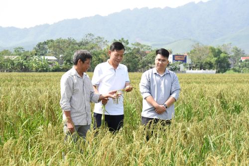 'Nâng sao' cho sản phẩm OCOP