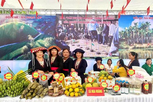 Giới thiệu, kết nối sản phẩm OCOP của phụ nữ dân tộc thiểu số Yên Lập