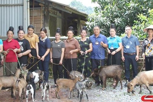 Phụ nữ Thành phố xây dựng gia đình bình đẳng, tiến bộ, hạnh phúc