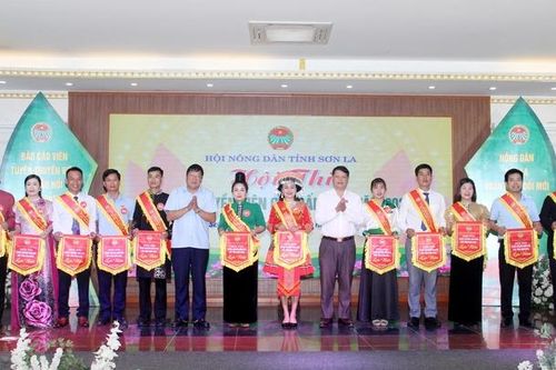 Khai mạc Hội thi 'Tuyên truyền viên giỏi' cấp tỉnh năm 2024