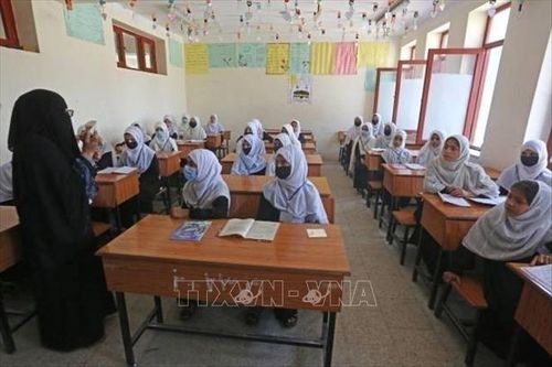 Cần hành động nhiều hơn để chống bạo lực và bắt nạt học đường