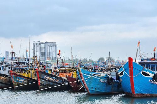 Thủ tướng Chính phủ yêu cầu chủ động ứng phó bão YINXING