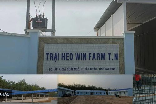 Xử phạt Công ty TNHH Đầu tư Winfarm Tây Ninh và Công ty TNHH MTV Danh Dự hơn 1 tỷ đồng