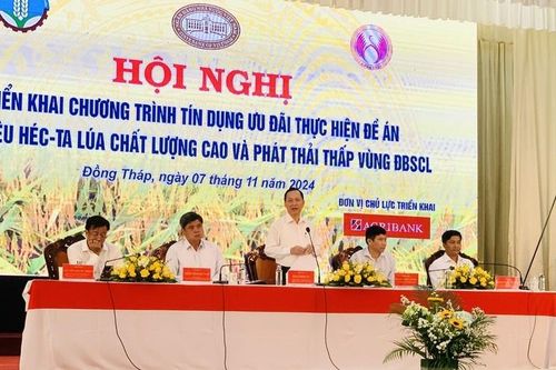 Đẩy mạnh tín dụng ưu đãi để tăng tốc triển khai Đề án 1 triệu ha lúa chất lượng cao và phát thải thấp