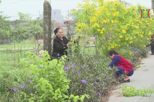Ứng Hòa xây dựng các công trình xanh, văn minh
