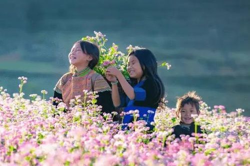 Khách quốc tế đến Việt Nam tăng hơn 40% trong 10 tháng