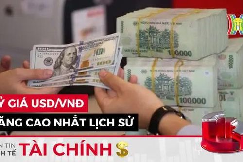 Bản tin Kinh tế Tài chính | 07/11/2024