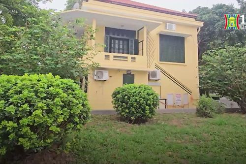 Tấm áo mới của vườn hoa Lý Tự Trọng