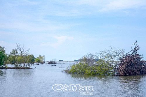 Ðồng tâm hiệp lực phòng, chống sạt lở