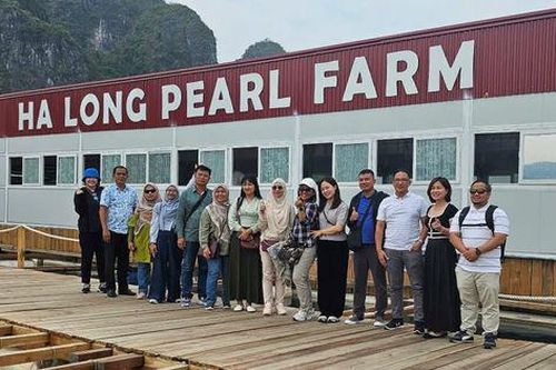 Giới thiệu làng nghề nuôi cấy ngọc trai đến với bạn bè kiểm toán quốc tế