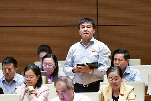 ĐBQH: Vốn điều lệ được 'phù phép', đánh tráo trong vụ FLC, Sài Gòn Đại Ninh