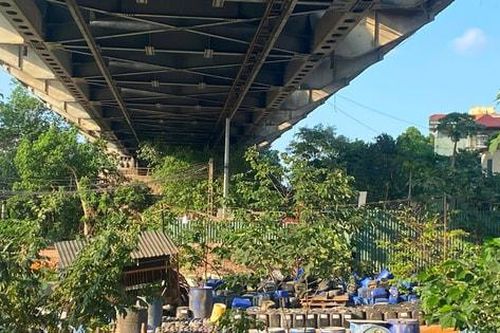 Tin tức đặc biệt trên báo in Hànôịmới ngày 7-11-2024