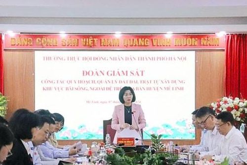 Mê Linh: Không phát sinh điểm nóng về trật tự xây dựng vùng đất bãi sông Hồng
