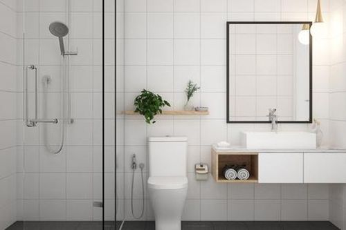 Biến phòng tắm có diện tích nhỏ trở nên sang xịn, đầy đủ tiện nghi được nhiều gia chủ ưa chuộng