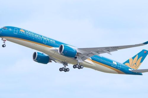 Thị trường giảm điểm, cổ phiếu Vietnam Airlines vẫn bay cao