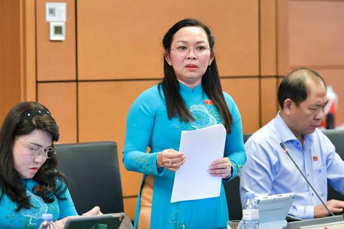 ĐBQH: nên tổ chức học văn hóa cho trẻ 12-18 tuổi tại cơ sở cai nghiện ma túy