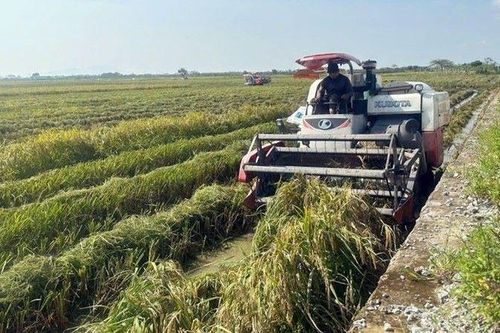 Hà Nội thành lập Ban Chỉ đạo Tổng điều tra nông thôn, nông nghiệp năm 2025