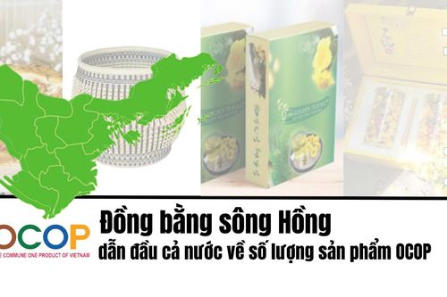 Đồng bằng sông Hồng dẫn đầu cả nước về số lượng sản phẩm OCOP