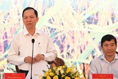 Triển khai tín dụng ưu đãi trong thực hiện Đề án 1 triệu ha lúa chất lượng cao