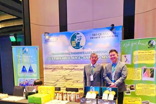 Gạo ST25 đạt giải Nhì gạo ngon nhất thế giới năm 2024
