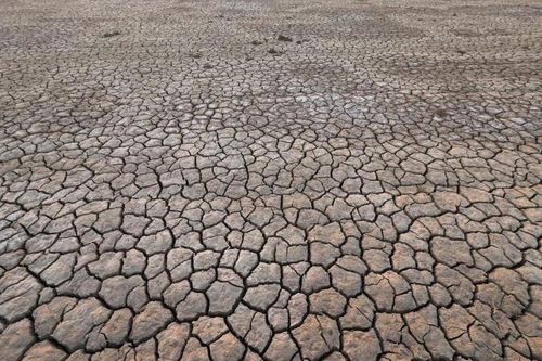 2024 sẽ là năm đầu tiên vượt qua giới hạn nóng lên 1,5 độ C