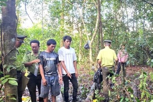 Bắt quả tang hai 'lâm tặc' ở Phú Quốc
