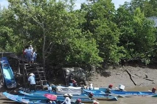 Phụ huynh mang cơm nắm đi học cùng con nơi Đất Mũi
