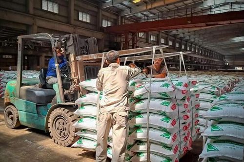 Cơ sở thực tiễn để đưa phân bón quay về đối tượng chịu thuế GTGT 5%