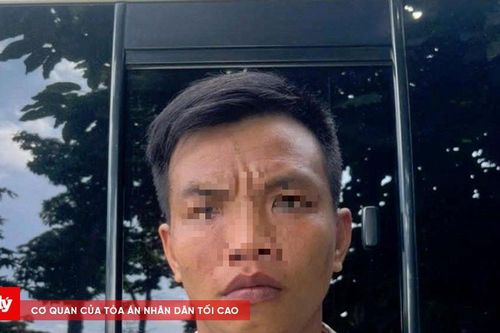 Bình Dương: Tí Cô Ba sa lưới sau 7 phi vụ cướp giật điện thoại