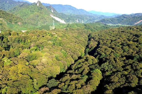 Nghệ An đăng cai mít tinh hưởng ứng ngày quốc tế về Khu dự trữ sinh quyển
