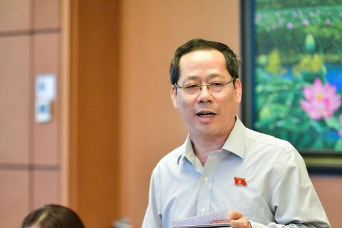 Đại biểu Quốc hội đoàn Nghệ An nêu ý kiến về quy định với người có ảnh hưởng khi quảng cáo mỹ phẩm, thực phẩm trên mạng xã hội