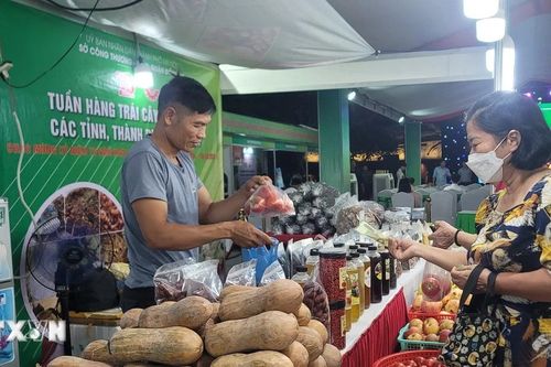 Hà Nội: Đảm bảo cân đối cung-cầu hàng hóa và tổ chức hoạt động liên kết vùng
