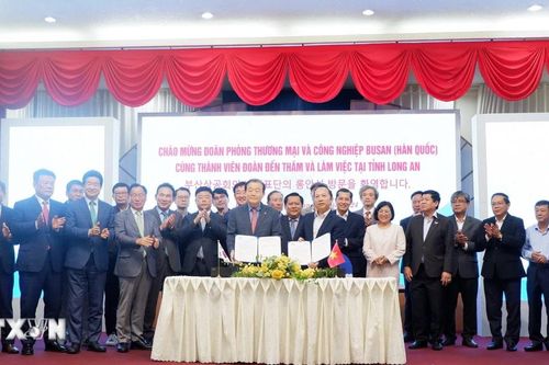 Đoàn công tác Phòng Thương mại-Công nghiệp Busan thăm và làm việc tại Long An