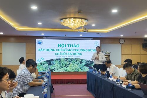 Định hướng bền vững cho môi trường rừng Việt Nam