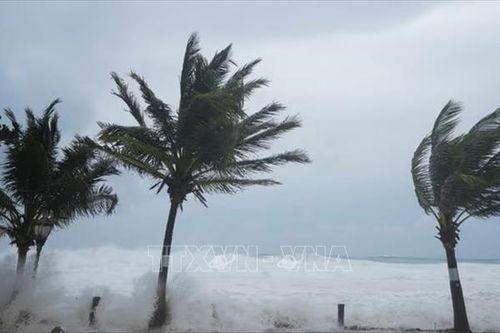 Bão Rafael mạnh trở lại thành bão cấp 3