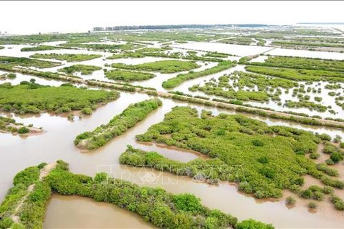 Quy hoạch thành lập mới 61 khu bảo tồn thiên nhiên