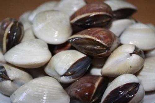 Mẹo làm sạch nghêu, sò, ốc, hến cực đơn giản và hiệu quả