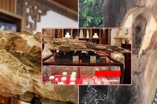 Khối gỗ trầm hương quý hiếm có hình 'Thanh bảo kiếm' từng được trả giá 1 tỷ đồng: Khó tìm khối thứ 2