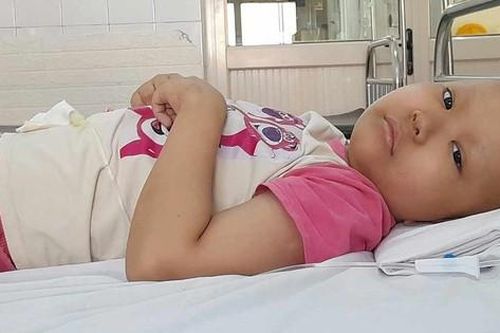 Ánh mắt cầu cứu của bé gái 7 tuổi mắc bệnh hiểm nghèo không tiền chạy chữa