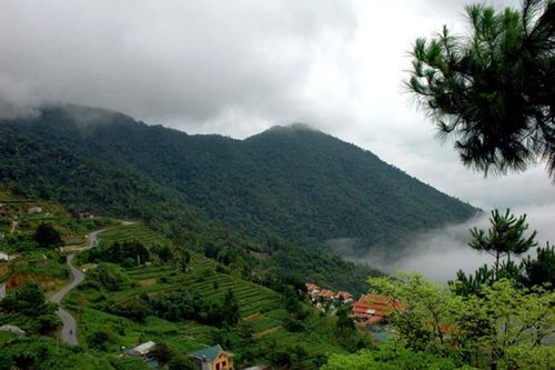 Tham vấn môi trường dự án thuê 68 ha rừng đặc dụng Tam Đảo để làm du lịch sinh thái