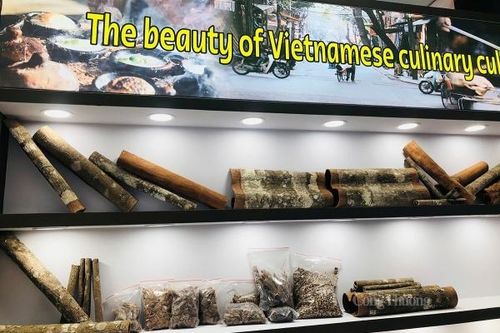 Ấn Độ vẫn là thị trường xuất khẩu chính của quế Việt