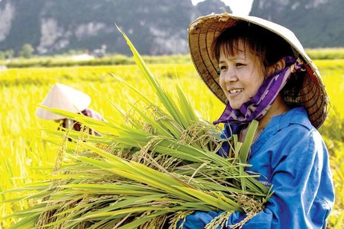 Giảm bất bình đẳng để phát triển bền vững