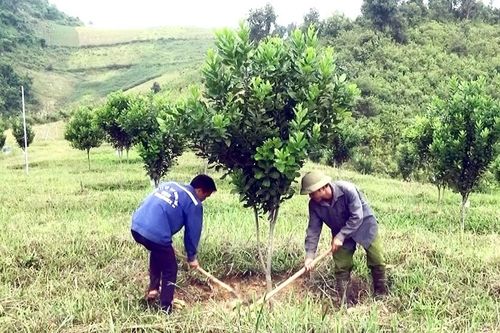 Khó vạn lần dân liệu cũng xong (bài 2)